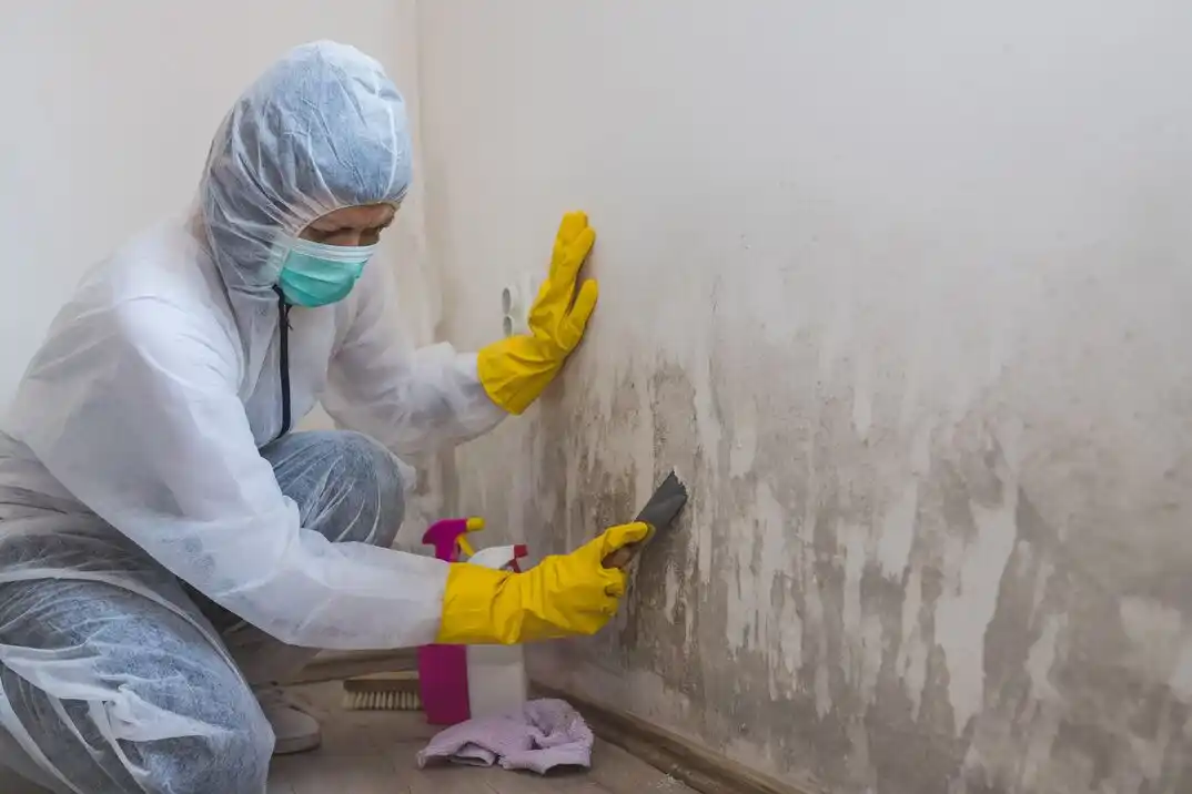 water damage restoration service Park View